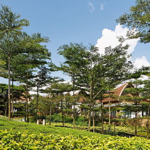 Vimala Hills Nature Supporting your living is our priority, more healthy live with more "nature"