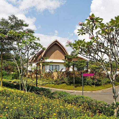 Vimala Hills Nature Green, all is green in vimala hills