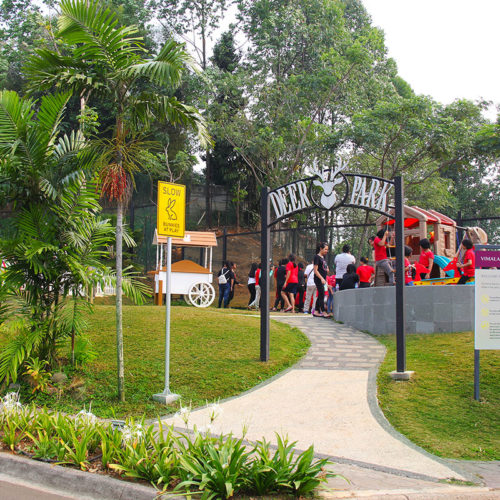 Deer park Animal collection on vimala hills for your family amusement.