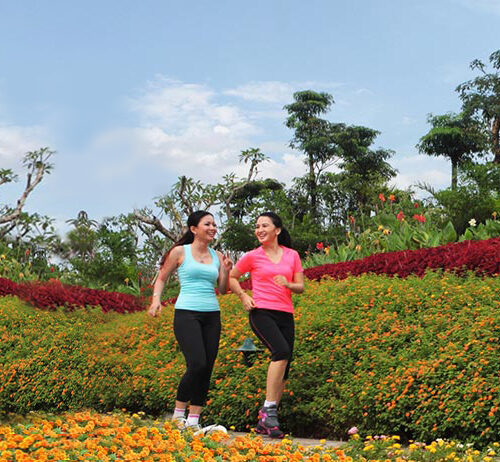 Convenient tracks for jogging and cycling around the complex.